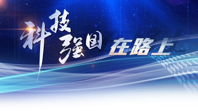 数据湖与机器学习平台：不是二选一，而是协同作战